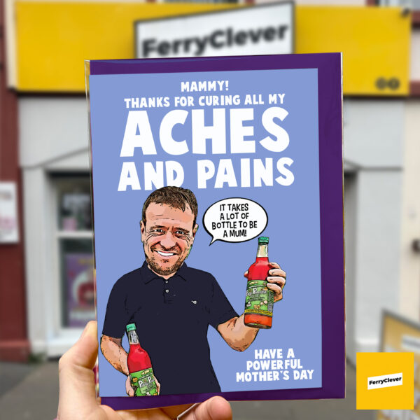 paddyNEW-SHOP-MOCK-2024